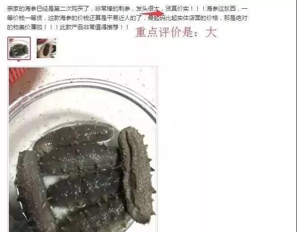 在网上卖的海参怎么那么便宜,目前网上海参便宜得很为什么