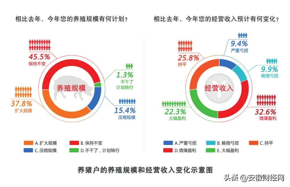 贩运生猪怎么能赚钱呢,在屠宰场批发生猪好赚钱吗