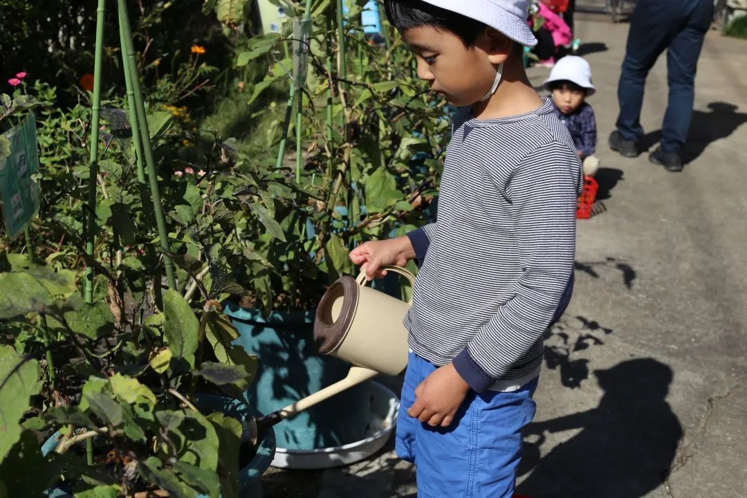 坂本龙一孩子们,坂本龙一幼儿园