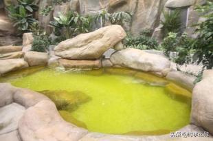 夏天游泳水世界,夏日水世界酷玩嗨不停