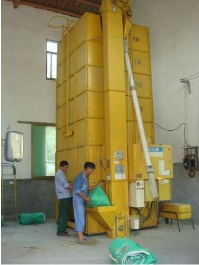 晒干的粮食正确储存方式,刚收获的粮食必须晒干后才能储藏