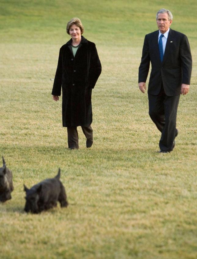 白宫动物简史：鸡、猫、狗、鸟、马、鼠、浣熊，甚至还有鬣狗