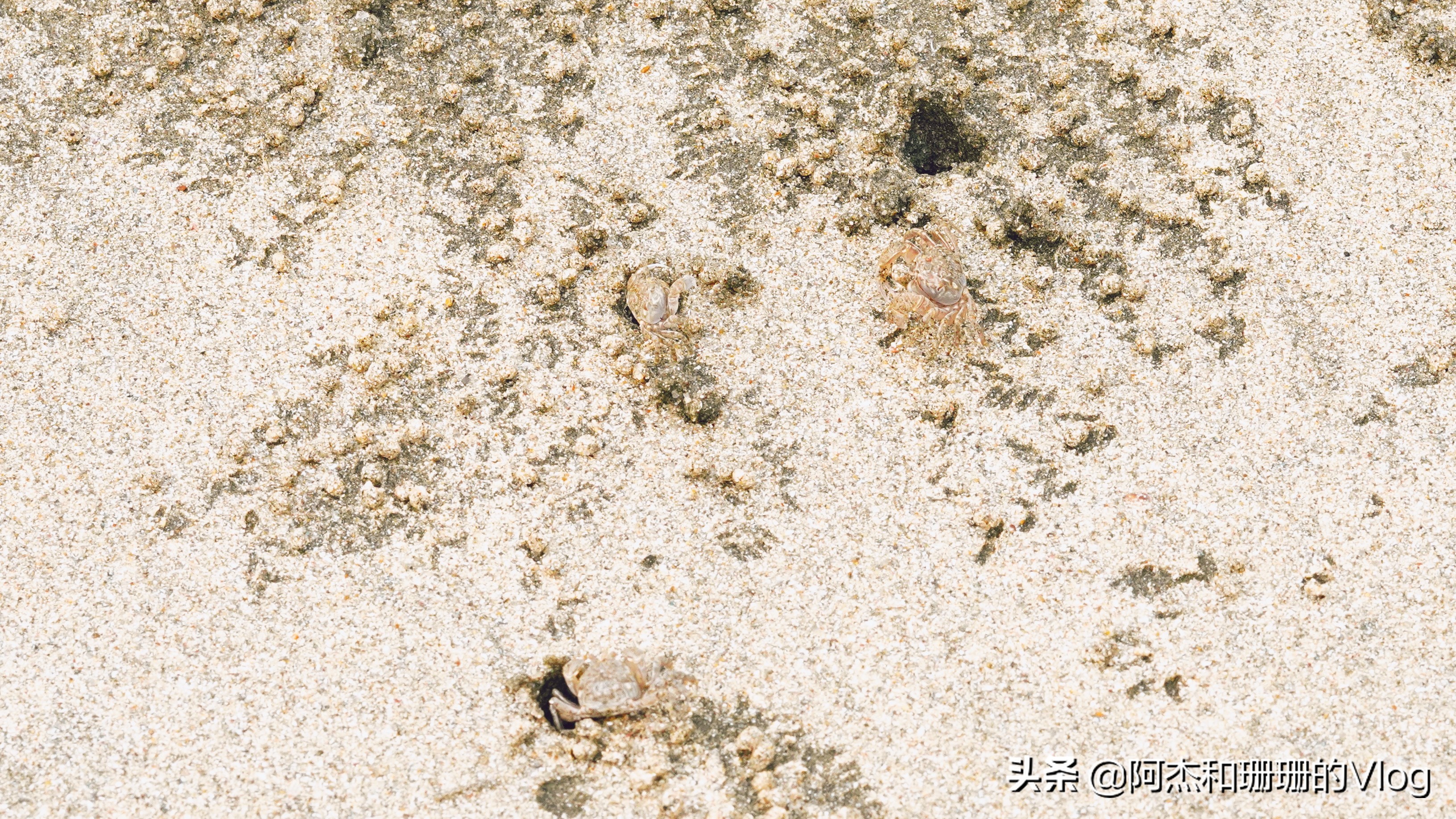 台山下川岛旅游攻略3日游,台山下川岛一夜自驾游