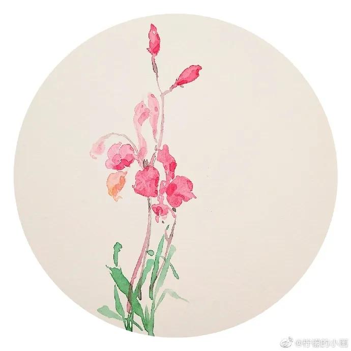 分享一组好看的小清新水彩插画,不来看看简单水彩小插画的教程吗