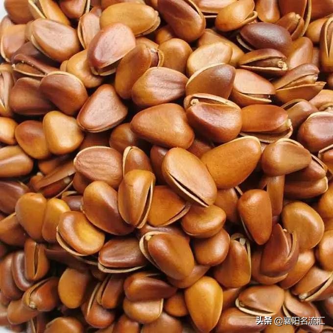 苦等210天,老婆终于吃到了极品松子