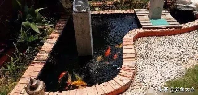 经历2次整池团灭，没关系！接着买从头再来！