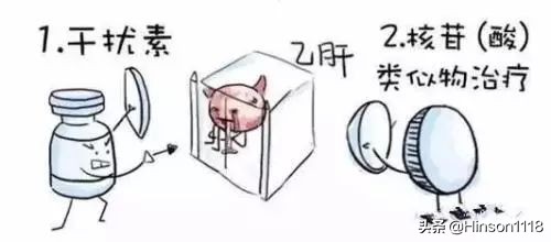 乙肝药恩替卡韦,治乙肝最好的药