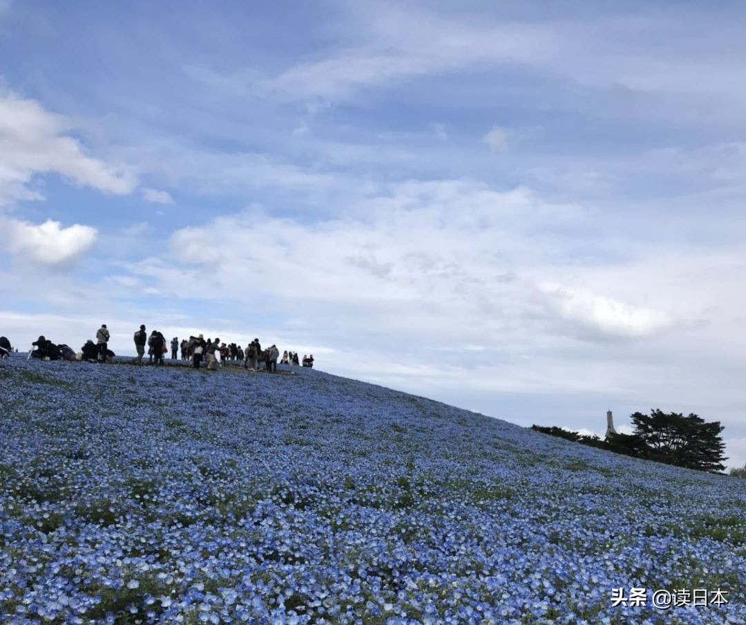 连续13年被评为最具幸福感城市,茨城城市