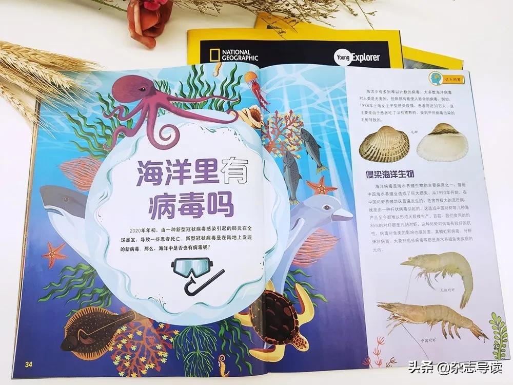 孩子必读的科普读物,哪些适合小学生看的科普杂志