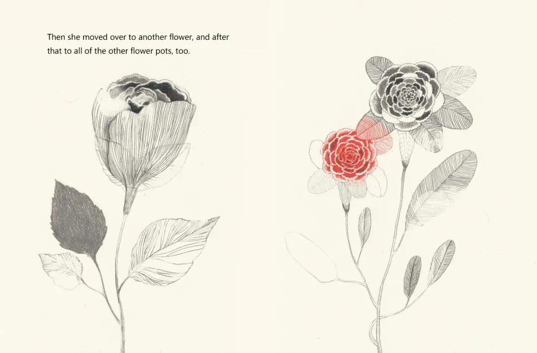 东方娃娃原创绘本奖公众号,儿童原创绘本巡回展