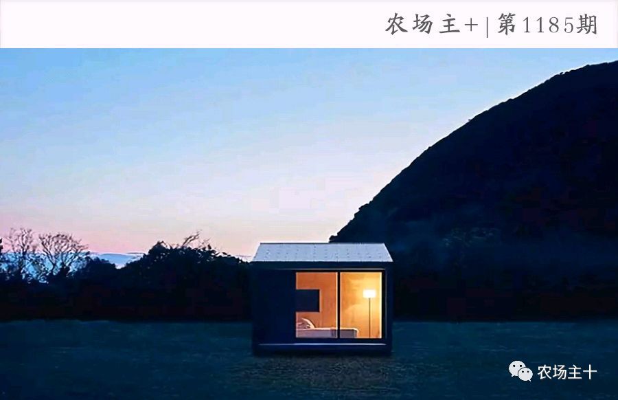 民宿装修成本多少钱一平方,民宿投入成本和回报率