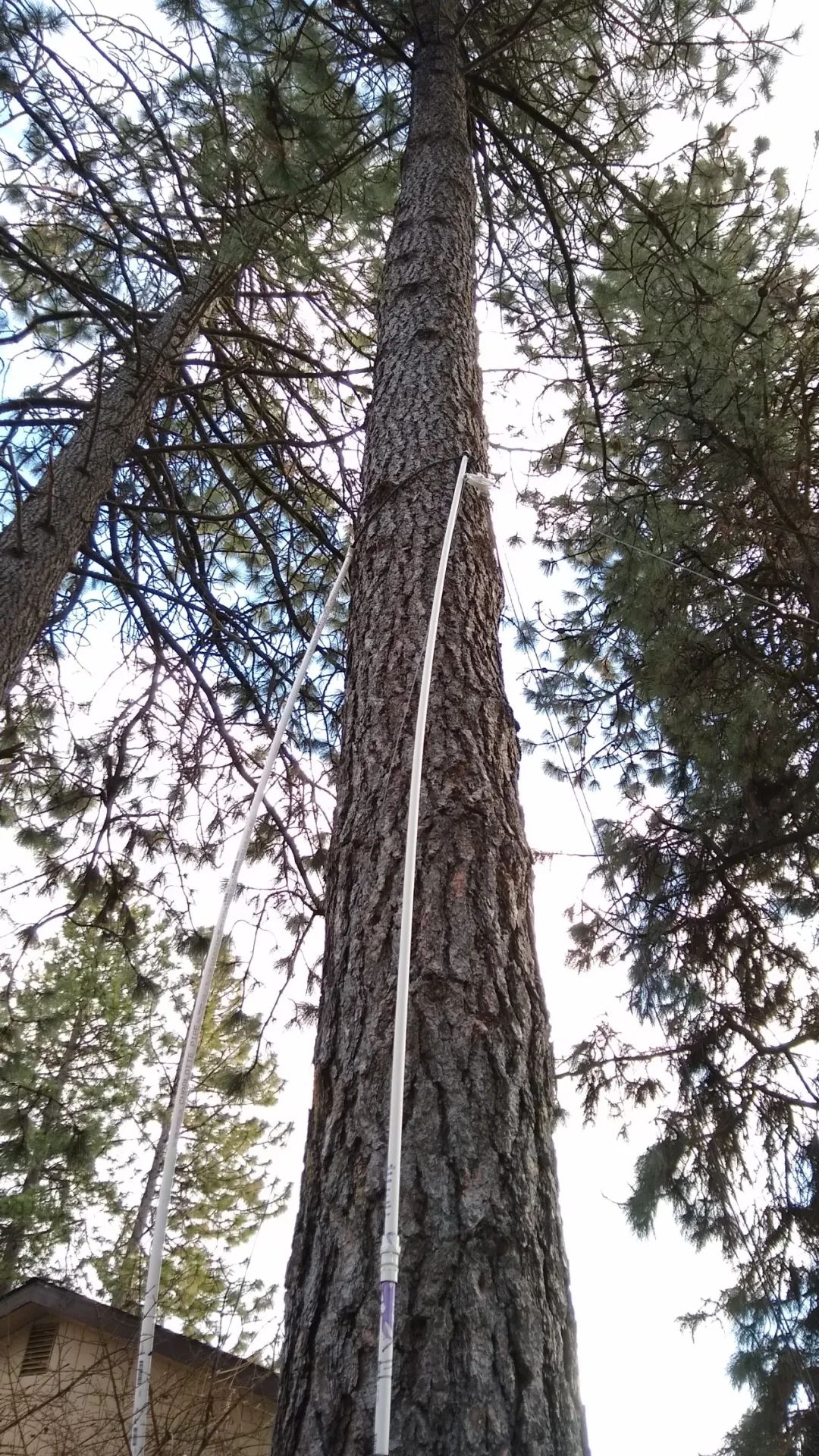 短波天线馈线长40米用哪种线好,短波天线垂直架设哪个好