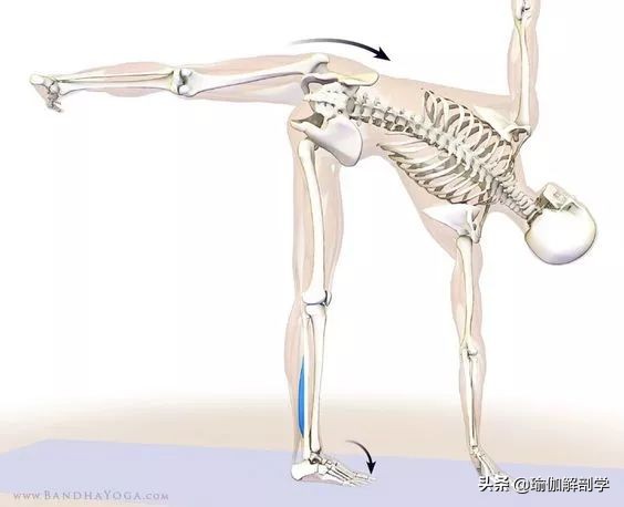 瑜伽18个基本体式,18个瑜伽体式正确图