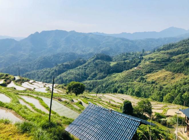 最近旅游好去处推荐,周边好玩的地方推荐一日游