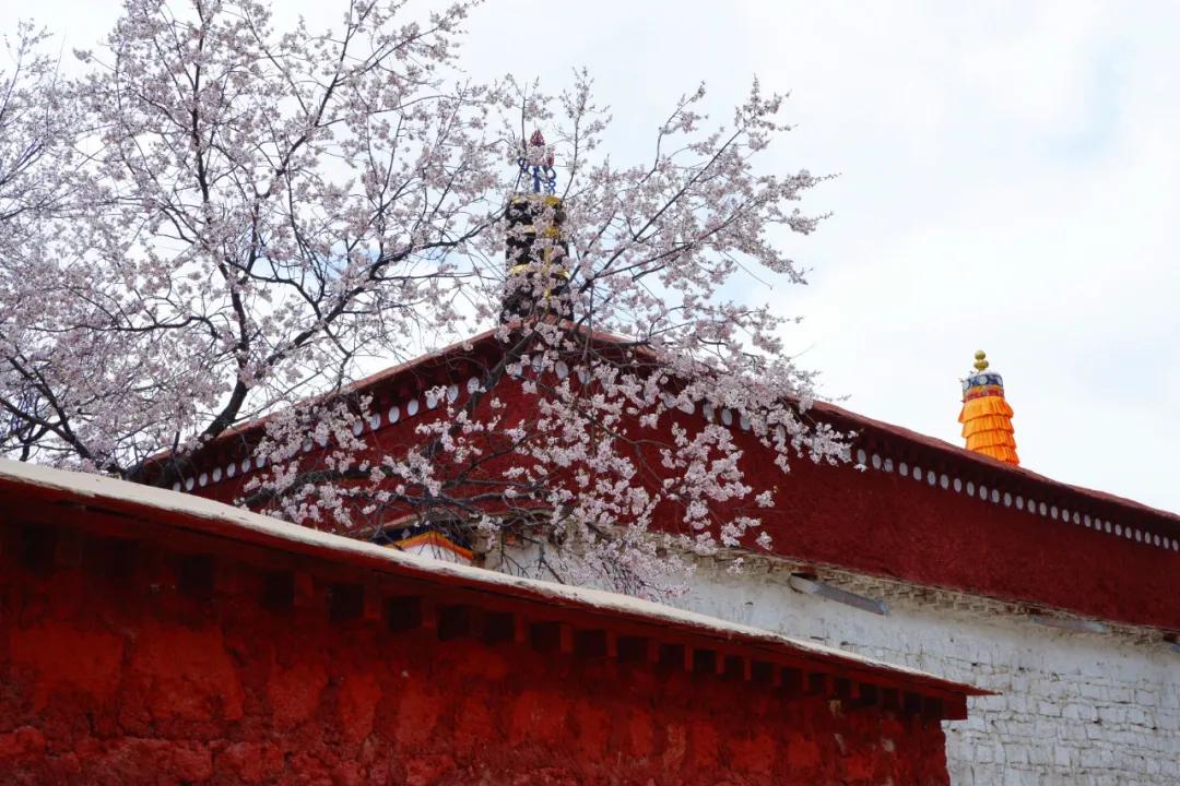 拍拉萨全景哪里最好,拉萨最适合拍照的地方