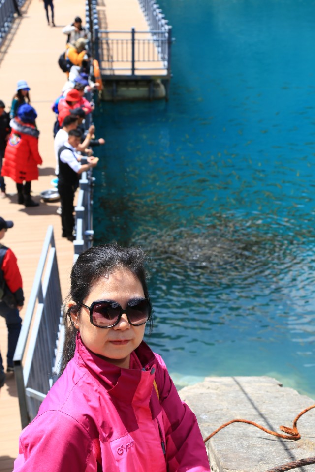 西藏旅游川进青出16天环线攻略,盘点西藏自驾游9条经典线路