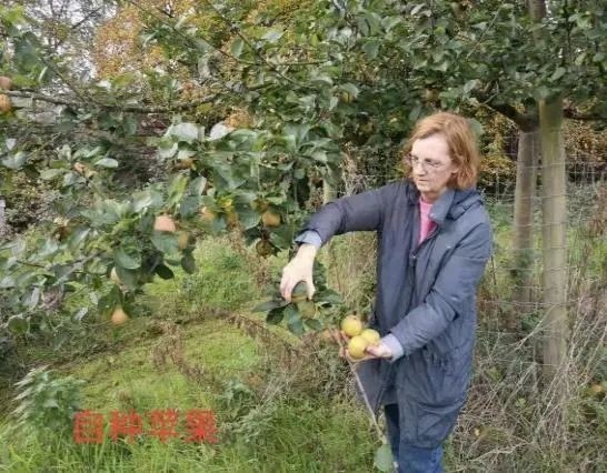 从英国回国为什么要转机,从英国回国需做哪些准备