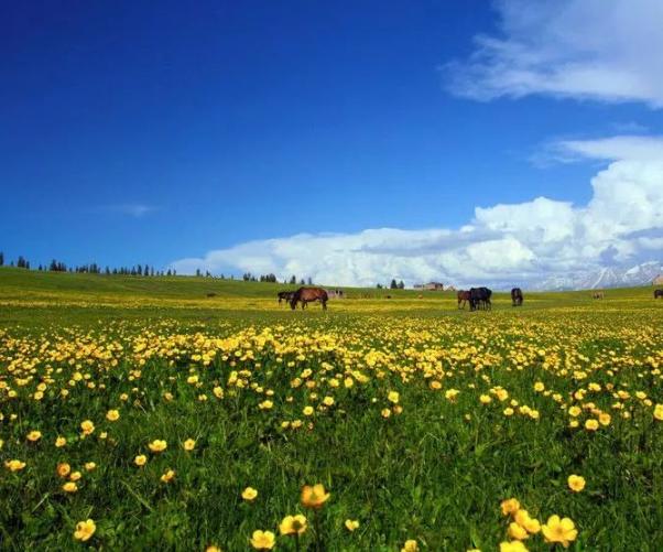 新疆的南疆与北疆的划分,南疆同北疆比较