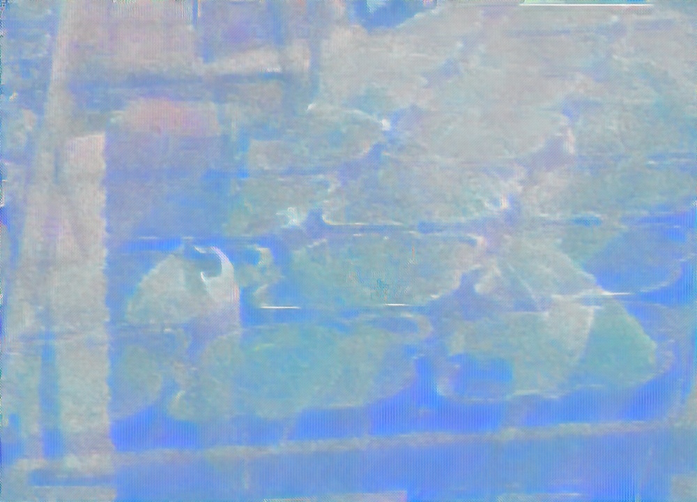 农村最有前途的四种生意创业,2021农村创业什么行业有前景