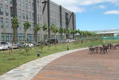 国内大学面积最小排名,我国面积最小的20所大学排名