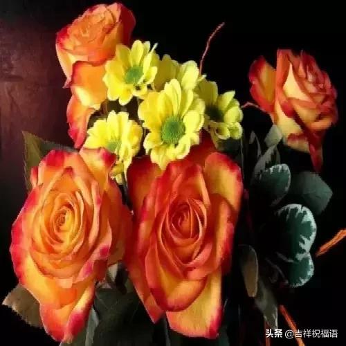 经典永远堪称经典,经典中的经典回味经典