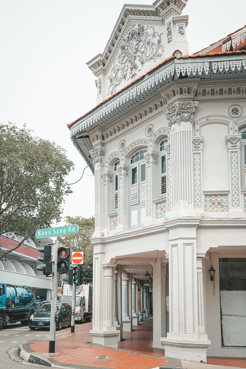 一人一猫环游,一人一猫旅行