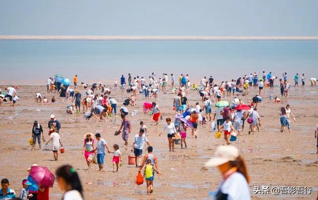 天津自驾东疆港看海,天津东疆黄金海岸自驾游