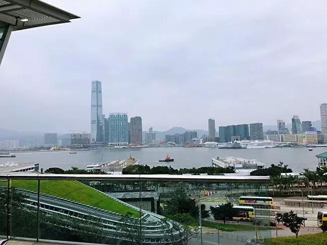 上海shakeshack汉堡哪个好吃,shakeshack深圳排队