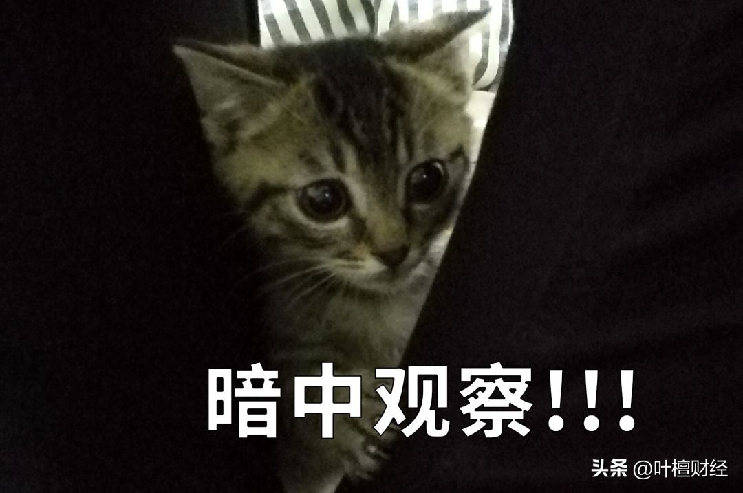 合格投资者认定可以不做吗,合格投资者认定需要投资经验吗