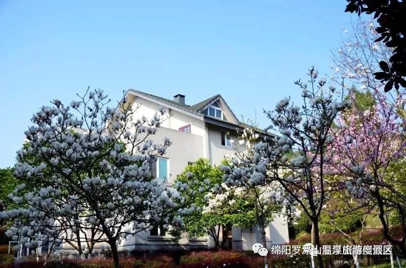 春暖花开健康温泉,春暖花开博罗