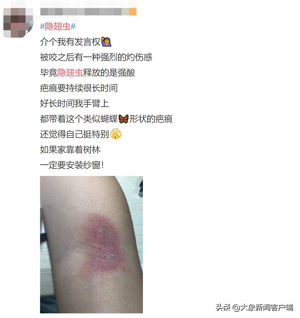 隐翅虫上热搜,一条小虫子上热搜