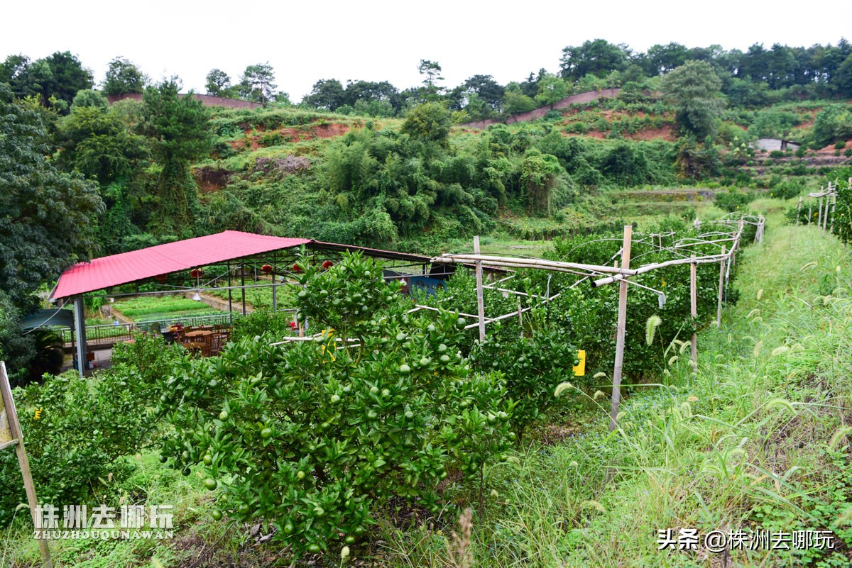 株洲哪里有好玩的度假山庄,株洲田园山庄
