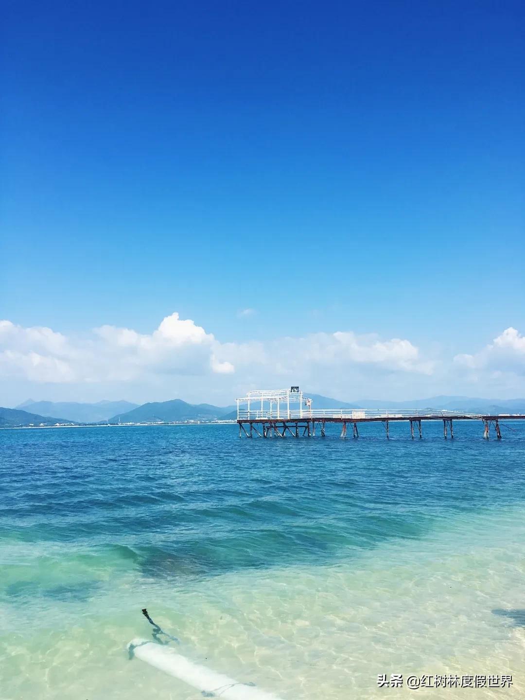 逃离北方的寒冷,逃离北方森林