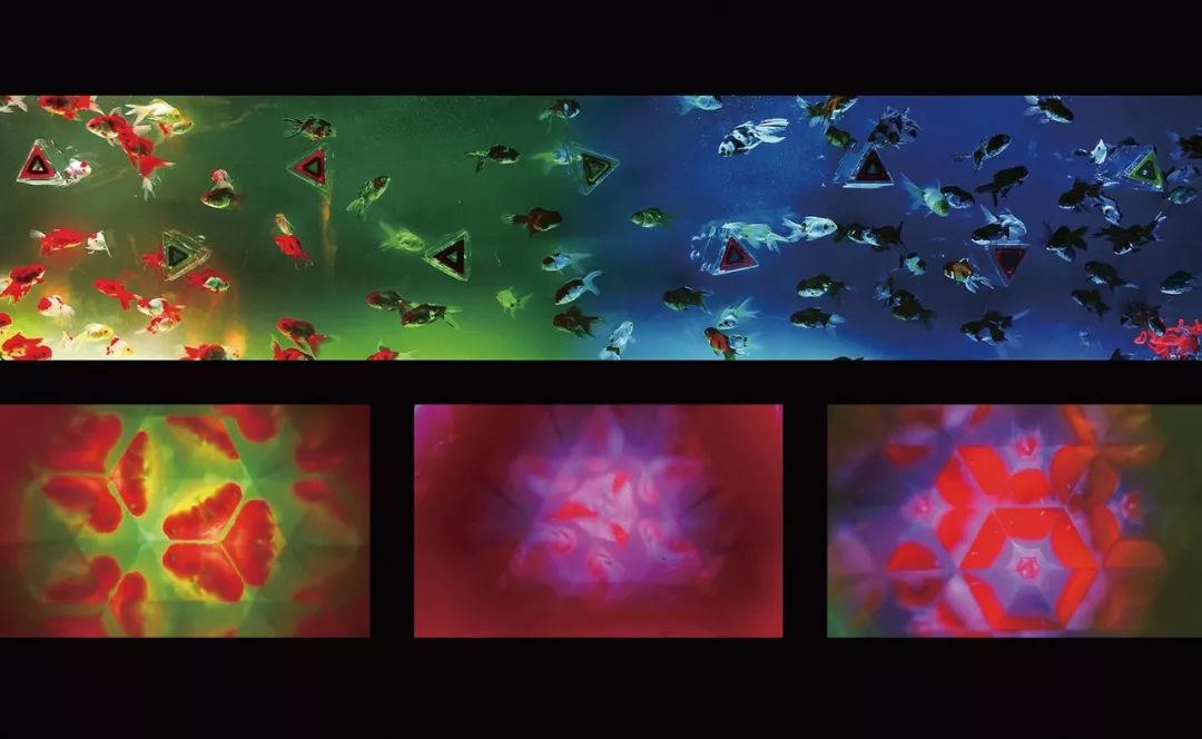 日本网红打卡艺术展,日本十大网红展