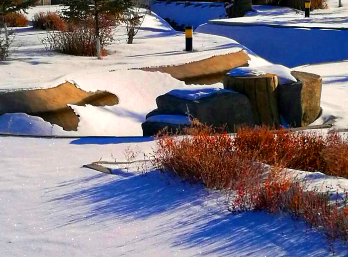 内蒙古狼旅游,内蒙古狼族自驾游视频