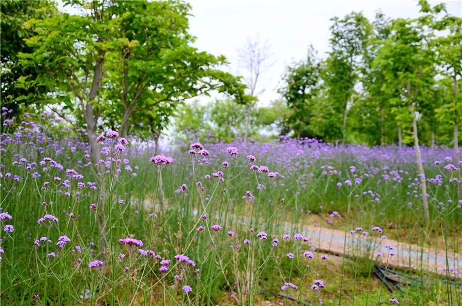 厉害了我的大学!100张图告诉你,有一种青春叫瑶湖高校!