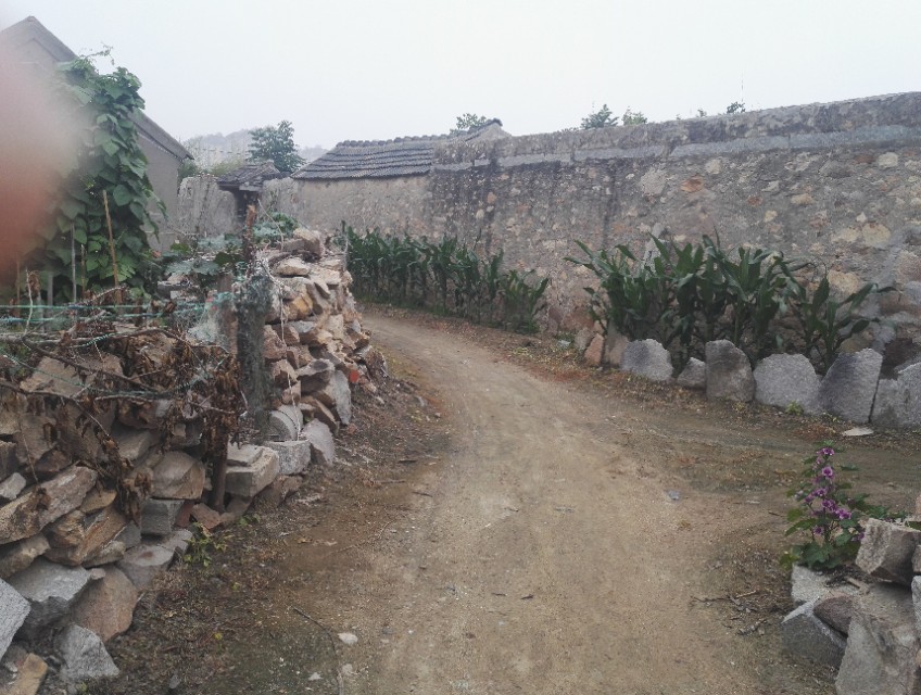 家乡的水井古诗,家乡古老的水井