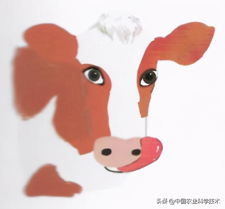 奶牛的主要特征是什么,奶牛的习惯和特征