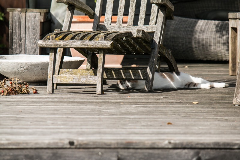 来自太阳的暴击：银屑病男子接受日光洗礼，惨遭病情恶化