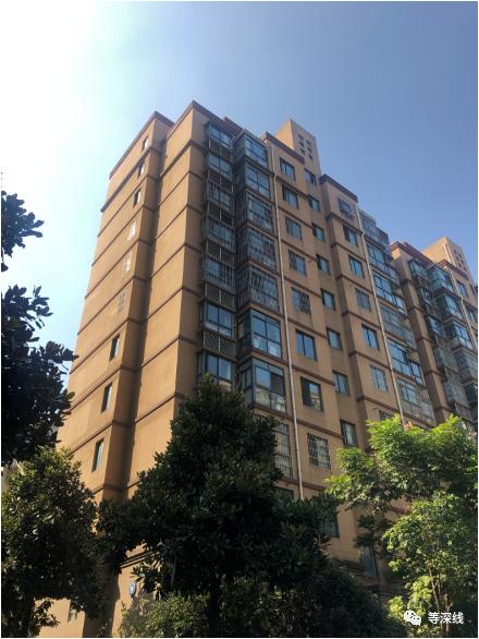 等深线专访,黄埔经侦队长