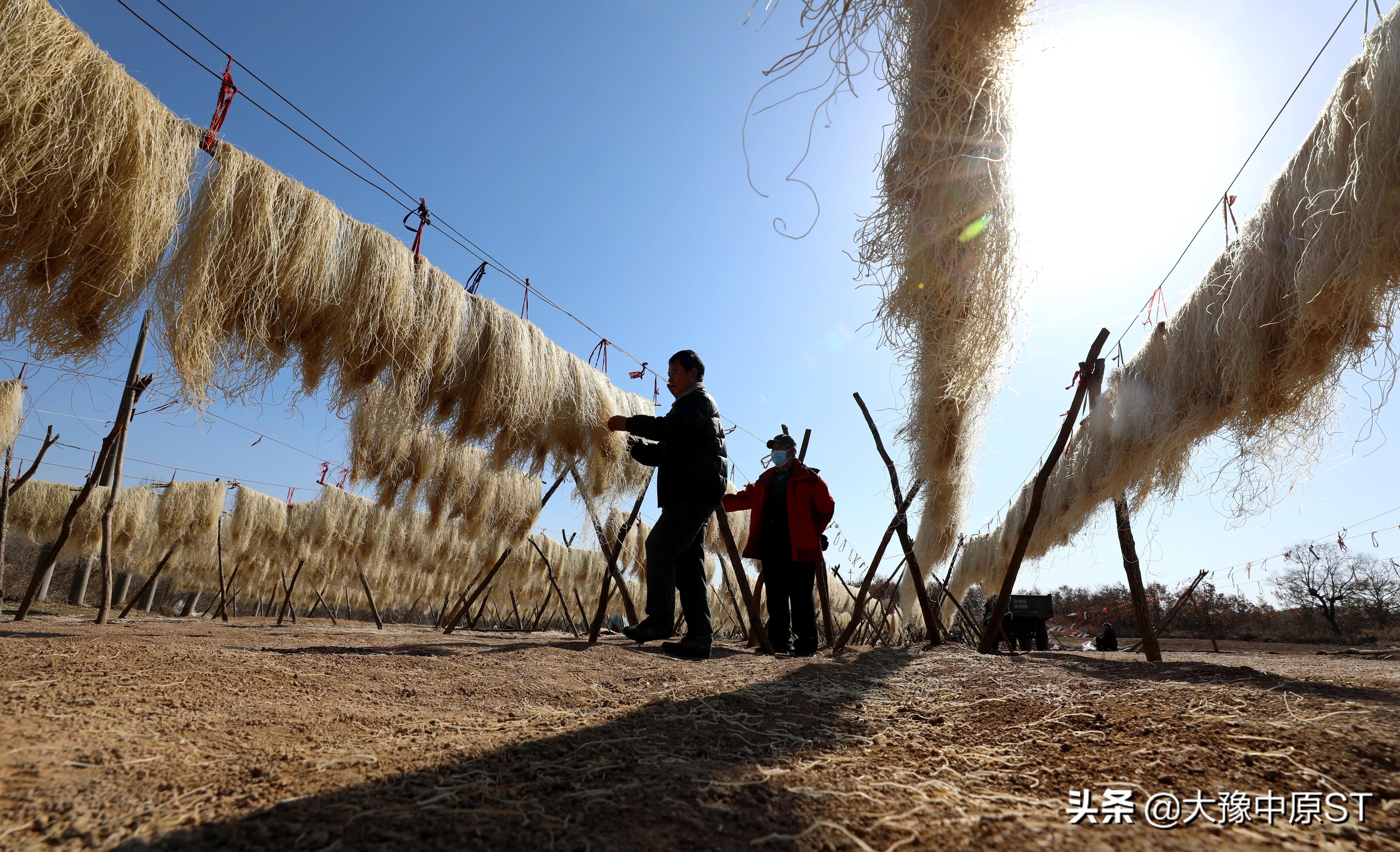 粉条变身脱贫致富金,红薯粉产业拓出致富路