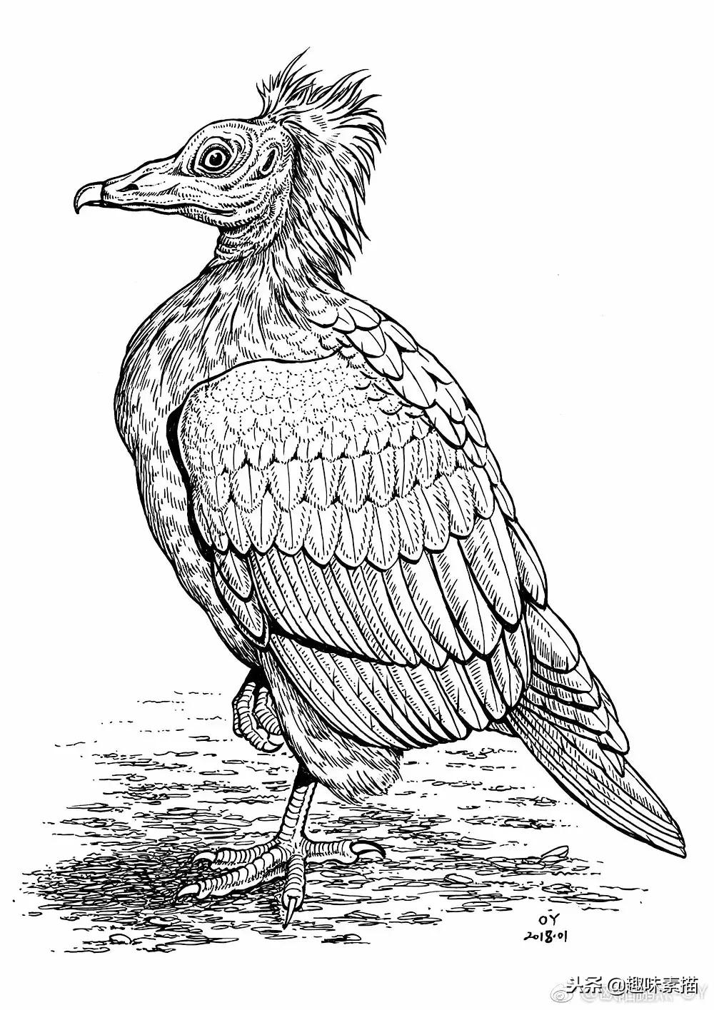 针管笔入门初学者画风景,针管笔教程