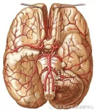 基底动脉尖综合征患者溶栓,基底动脉尖综合征名词解释