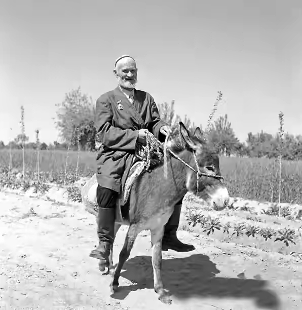 1958年，毛主席对库尔班说：谢谢你，这么远还要骑着毛驴来看我