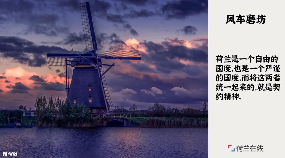 荷兰的郁金香风车牧场和运河,荷兰郁金香风车美景