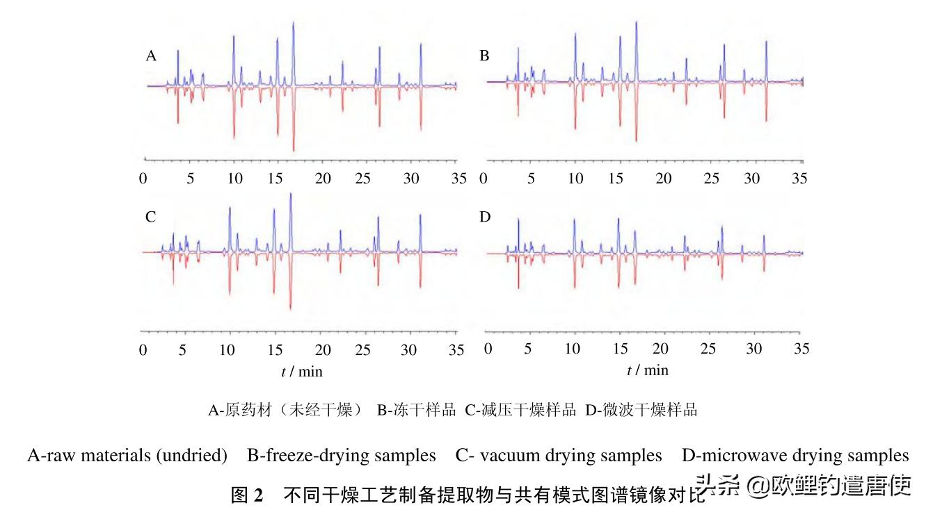 钓鱼最好的诱食剂是什么,诱食剂钓鱼