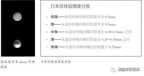 影响珍珠品质和价值的6大因素,你知道吗?