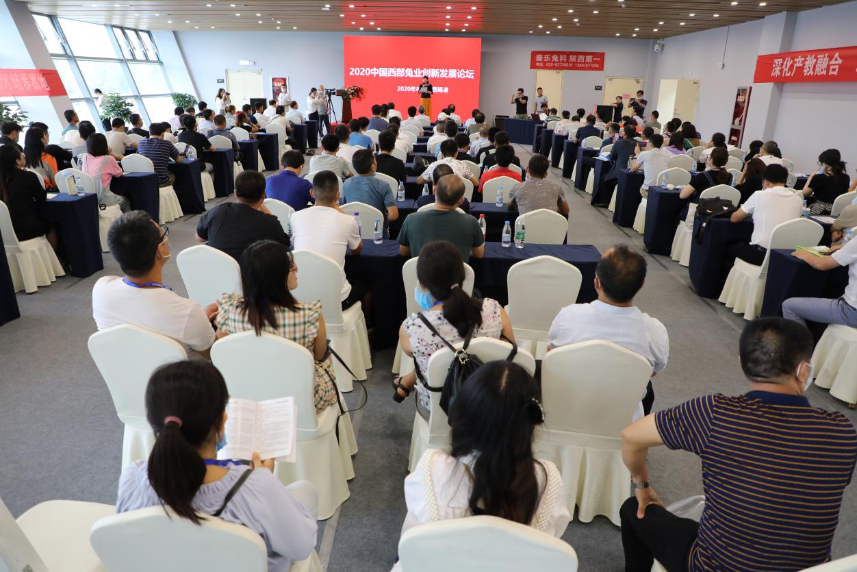 兔业投资,兔业发展公司