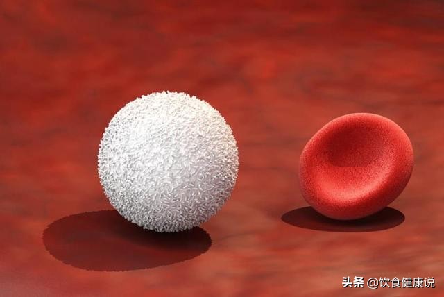 血常规检查要注意哪几个指标,血常规检查有三个指标要注意