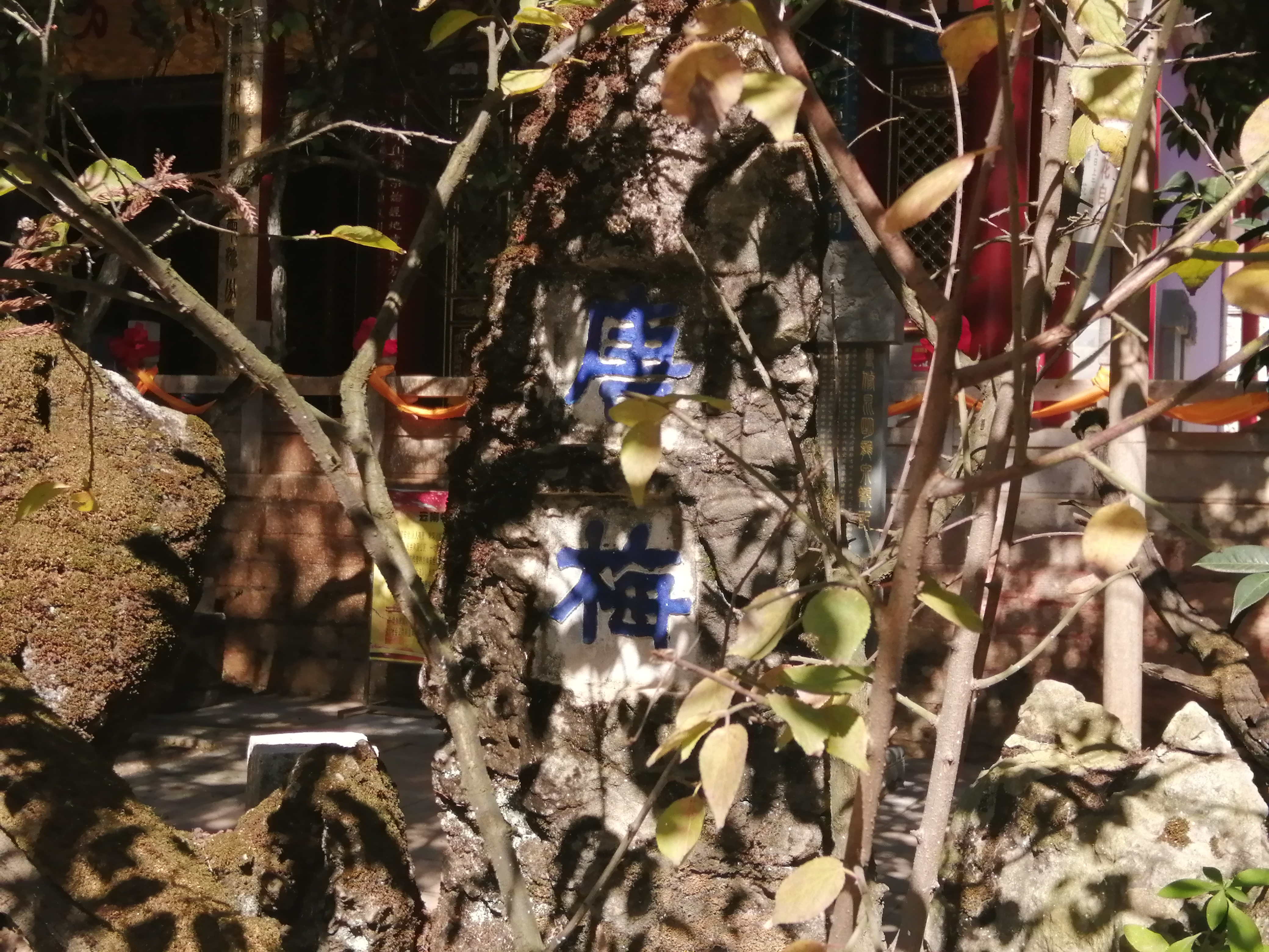 除了沐家，黑龙潭龙泉观里还有让大清总督无语的一件事、一个人